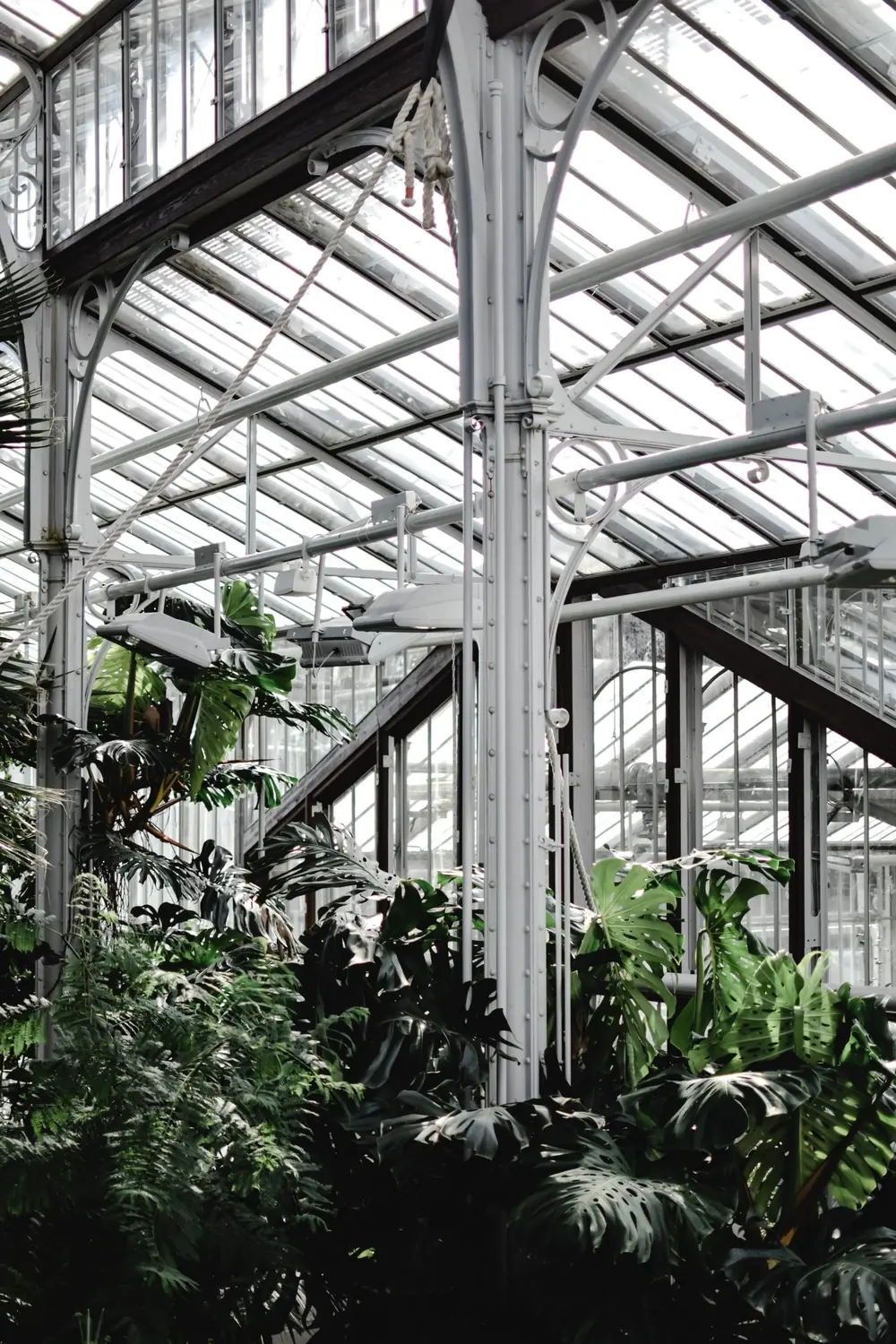 Como fazer um jardim de inverno no seu imóvel